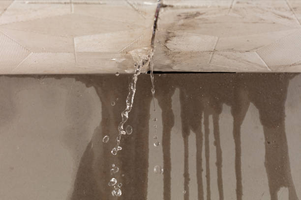Professional Water Damage Inspection technician working in Falmouth, ME
